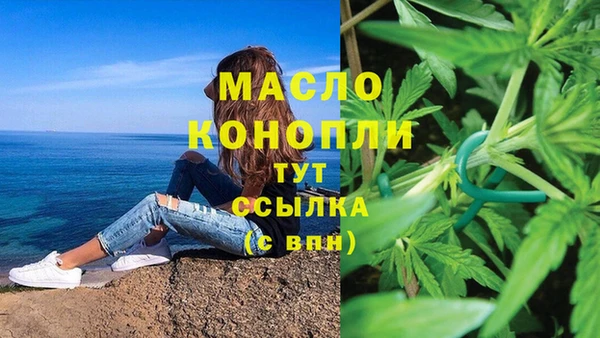 гашик Переславль-Залесский