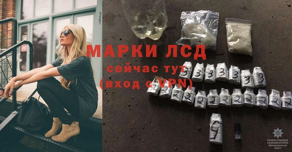 мяу мяу мука Покачи