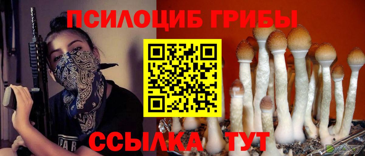 Кузнецк  Псилоцибиновые грибы мицелий  Псилоцибиновые грибы прущие грибы  Вход с VPN 