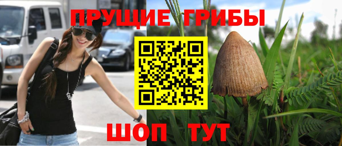 Галлюциногенные грибы мухоморы Кузнецк